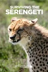 Película Surviving the Serengeti