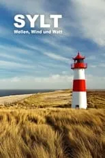 Manfred Schmidt es Self - Interviewee en Sylt - Wellen, Wind und Watt