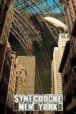 Poster de Synecdoche, New York