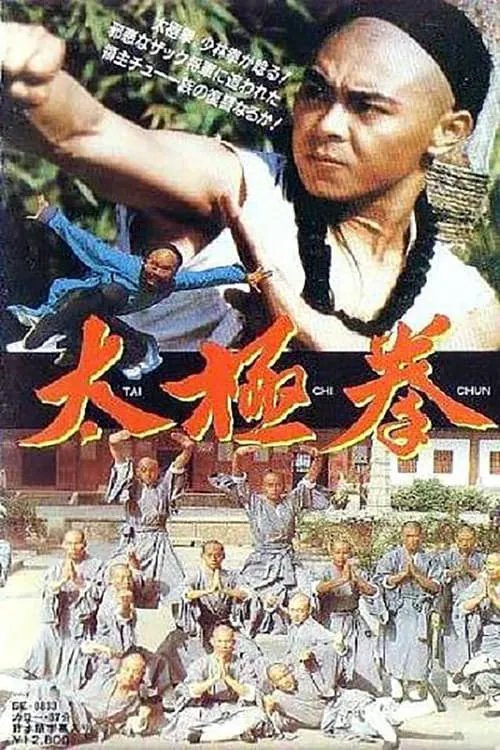 Poster de la película 太极拳 - Películas hoy en TV