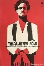 Póster de la película Talpalatnyi föld