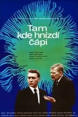 Película Tam kde hnízdí čápi