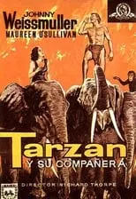 Póster de Tarzán y su compañera