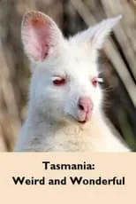 Póster de la película Tasmania: Extraña y sorprendente