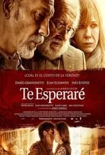 Película Te esperaré