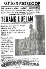 Película Terang Boelan