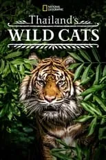 Stephen Beckett es Narrator (voice) en Thailand's Wild Cats