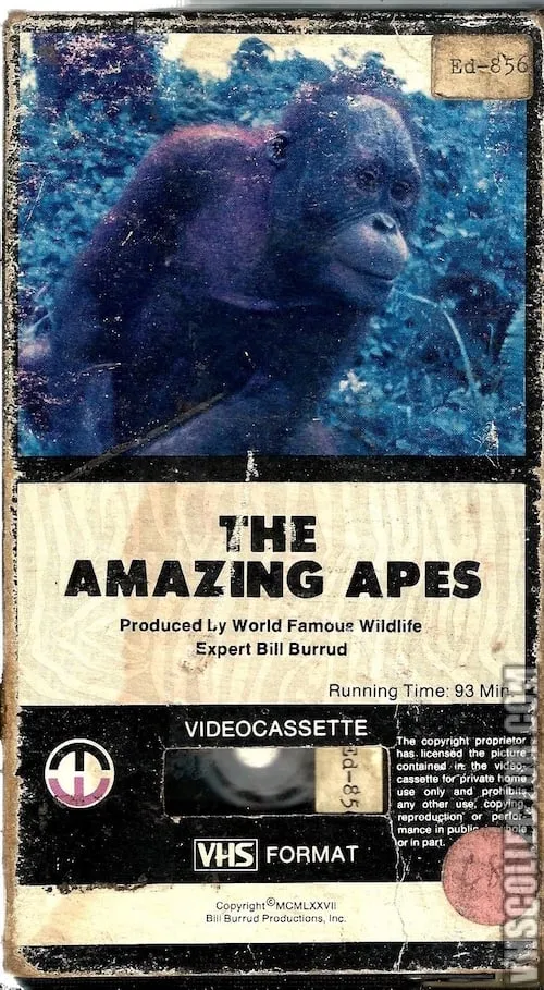 Póster de la película The Amazing Apes