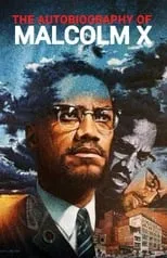 Póster de la película The Autobiography of Malcolm X