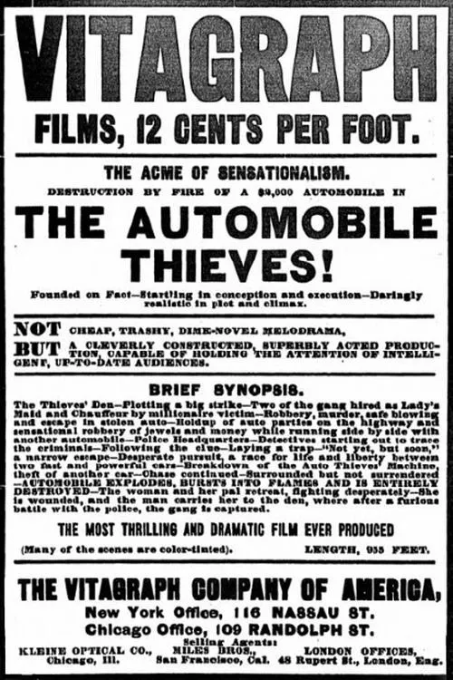 Póster de la película The Automobile Thieves