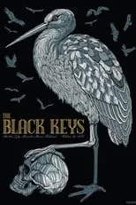 Película The Black Keys: Live At Austin City Limits