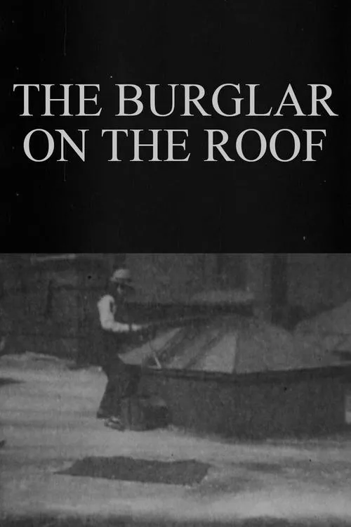 Póster de la película The Burglar on the Roof