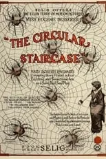 Stella LeSaint interpreta a  en The Circular Staircase