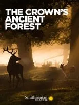 Portada de The Crown's Ancient Forest