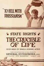 Póster de The Crucible of Life