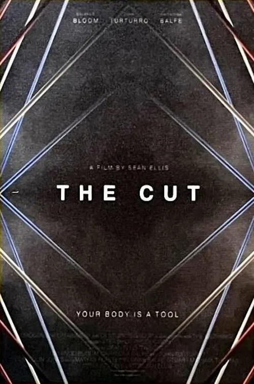 Póster de la película The Cut