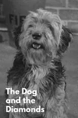 Geoffrey Sumner interpreta a Mr. Gayford en The Dog and the Diamonds