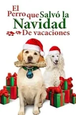 Poster de la película The Dog Who Saved the Holidays - Películas hoy en TV