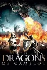 Póster de la película The Dragons of Camelot