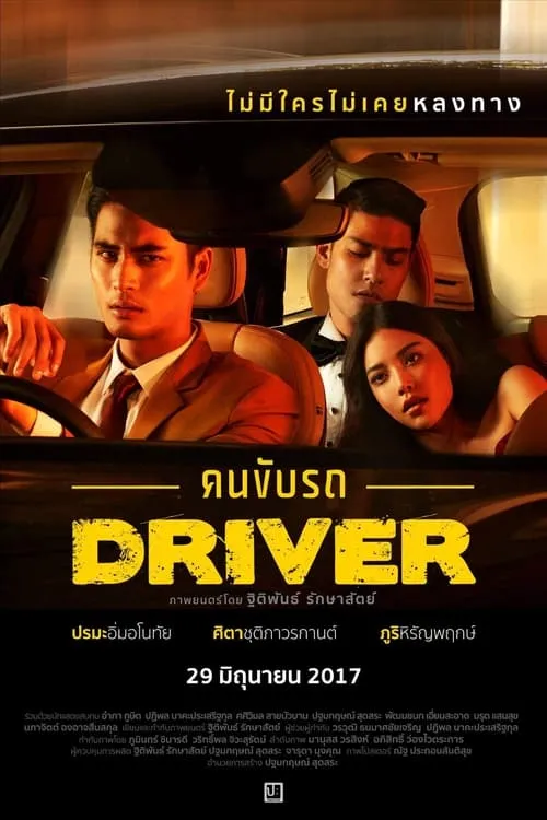 Póster de la película The Driver