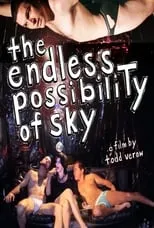 Poster de The Endless Possibility of Sky