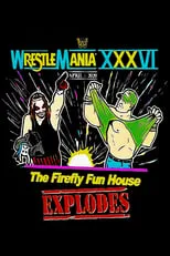 Portada de The Firefly Funhouse Match