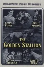 Portada de The Golden Stallion