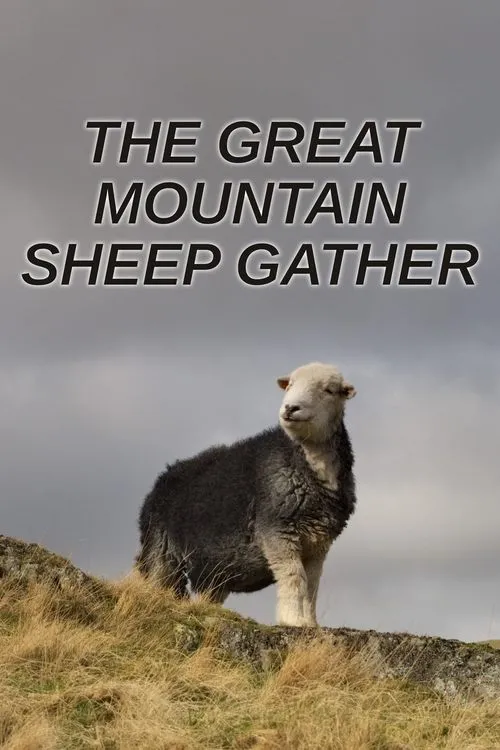 Poster de The Great Mountain Sheep Gather