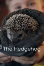 Póster de la película The Hedgehog