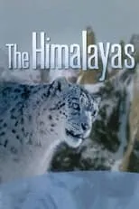 Película The Himalayas