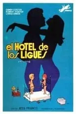 Póster de la película The Hotel of Love Affairs