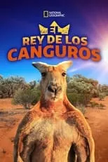 Póster de la película The Kangaroo King