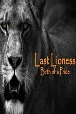 Portada de The Last Lioness: Birth of a Pride