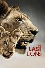 Poster de la película The Last Lions - Películas hoy en TV