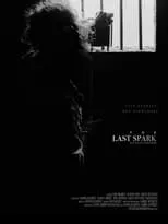 Poster de The Last Spark