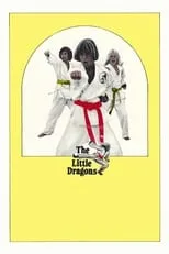 Portada de The Little Dragons