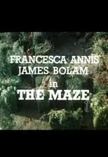 Poster de The Maze