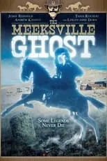 Portada de The Meeksville Ghost