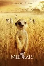 Poster de la película The Meerkats - Películas hoy en TV