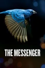 Amy Castle interpreta a Woman by Pool en The Messenger