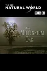 Póster de la película The Millennium Oak