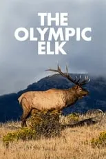 Winston Hibler es Narrator en The Olympic Elk