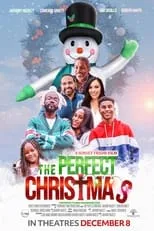 Poster de The Perfect Christmas