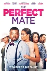 Poster de The Perfect Mate