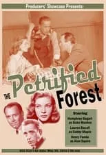 Póster de la película The Petrified Forest