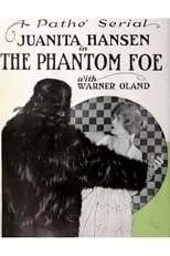 Póster de la película The Phantom Foe