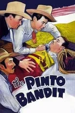 Póster de la película The Pinto Bandit