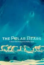 Portada de The Polar Bears