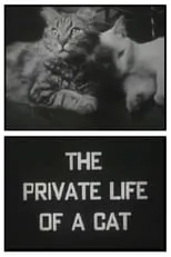 Maya Deren es Narrator en The Private Life of a Cat