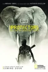 Poster de la película The Protectors - Películas hoy en TV